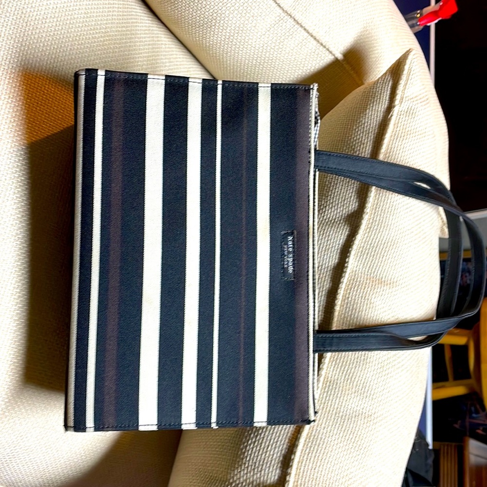 Kate Spade striped purse.